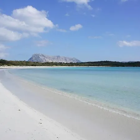Smeralda Sea View - Luxury Olbia