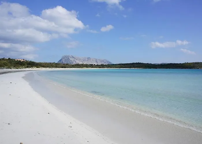 Smeralda Sea View - Luxury Όλμπια